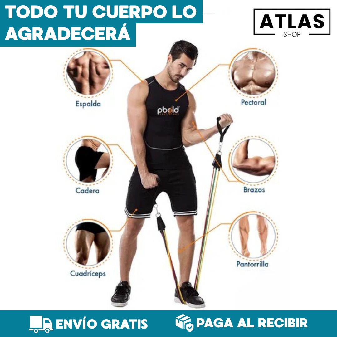 DominaFit® Kit de Bandas Elasticas Tubulares